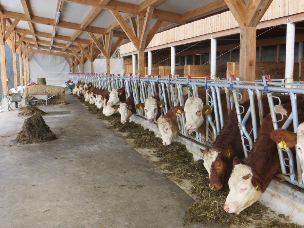 Ferienwohnungen Bauernhof Schilcher Sankt Stefan im Lavanttal Exterior photo
