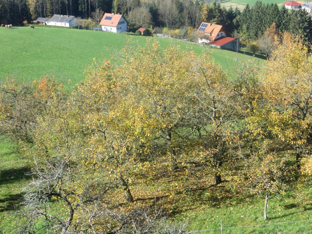 Ferienwohnungen Bauernhof Schilcher Sankt Stefan im Lavanttal Exterior photo